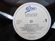 Gloria Estefan in to the Light 915 (4) (Copy)